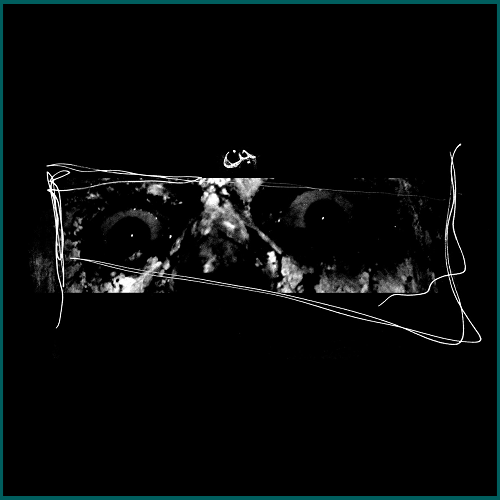DJINN Fuck Vessel CD
