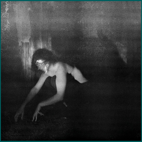 DEMANDE À LA POUSSIÈRE Quiétude Hostile CD