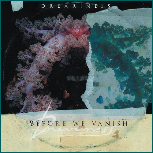DREARINESS Before We Vanish CD